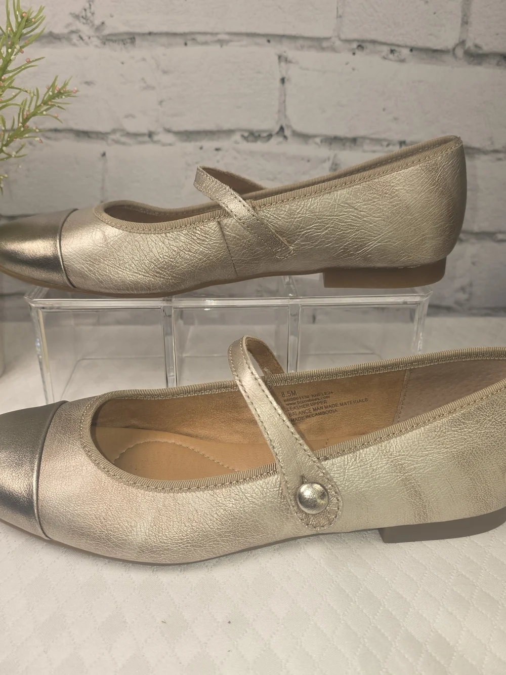 Born rounded toe mary
